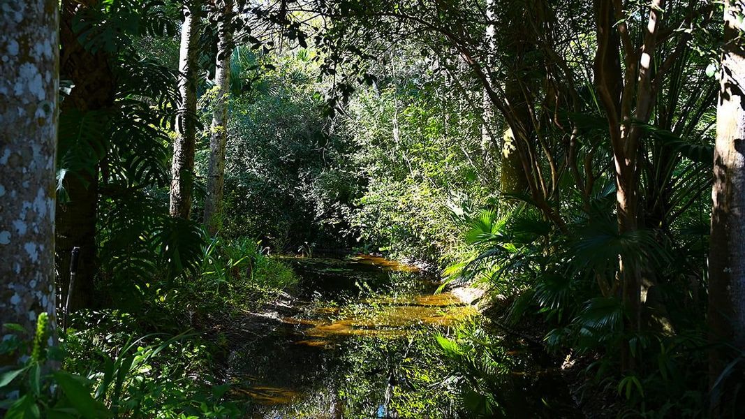 Natural landscape and outdoor views near Veranda Oaks in Port St. Lucie (Image 75).