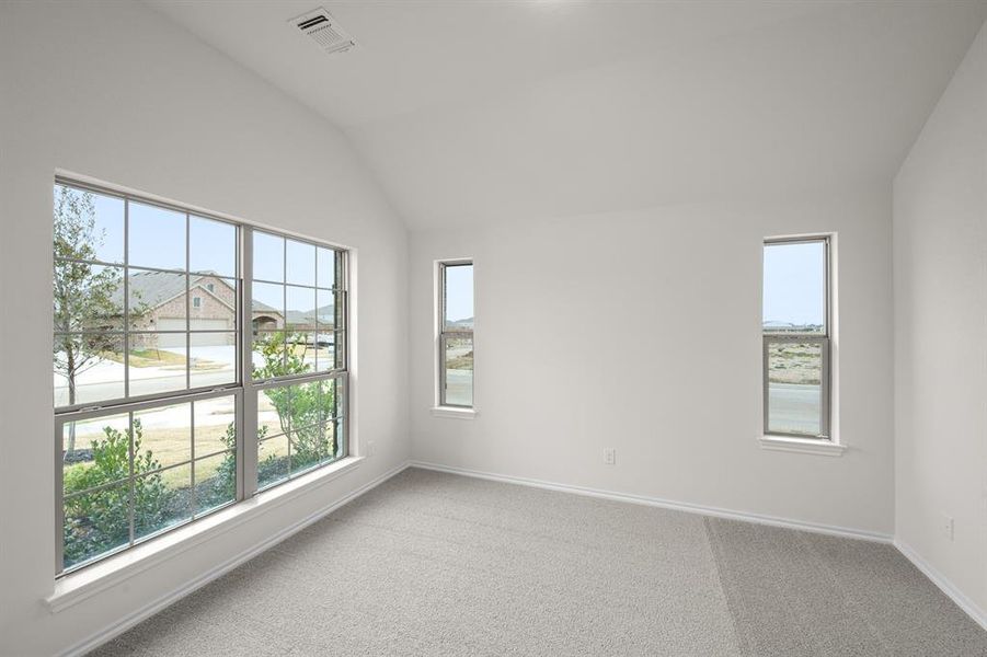 4541 Lyre Leaf- Study (1)