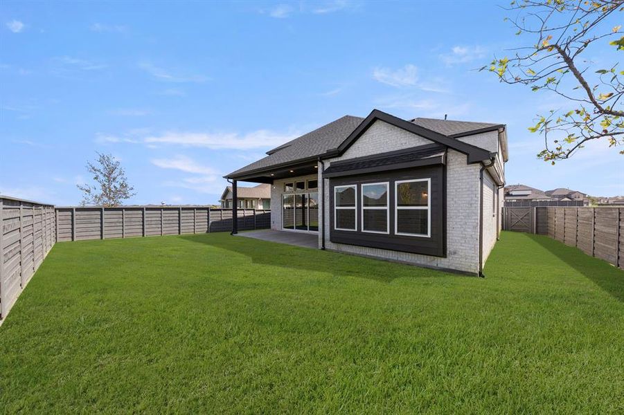 27. 7257 Ladybug - Back (2)