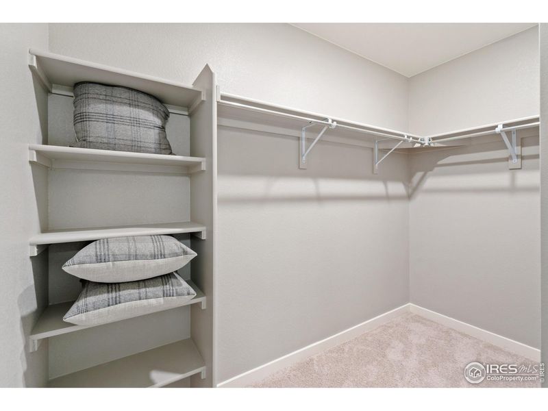 Spacious, unfurnished interior of a new home in Fossil Creek Ranch, Windsor (Image 19).