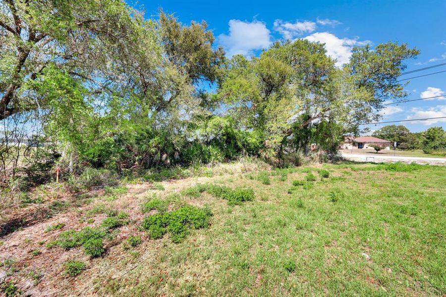 Natural landscape and outdoor views near  in Lehigh Acres (Image 27).