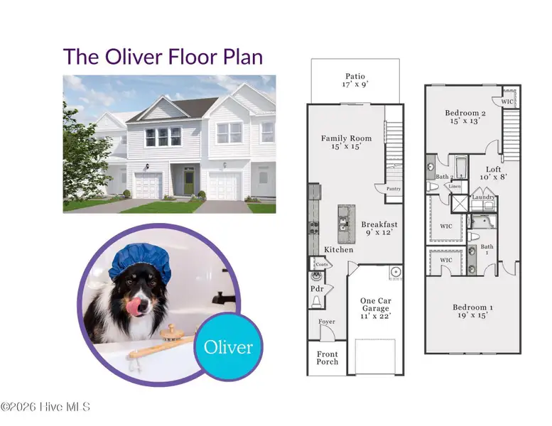 2D floor plan layout of this home in Coastal Haven Townes, Leland, NC (Image 4).
