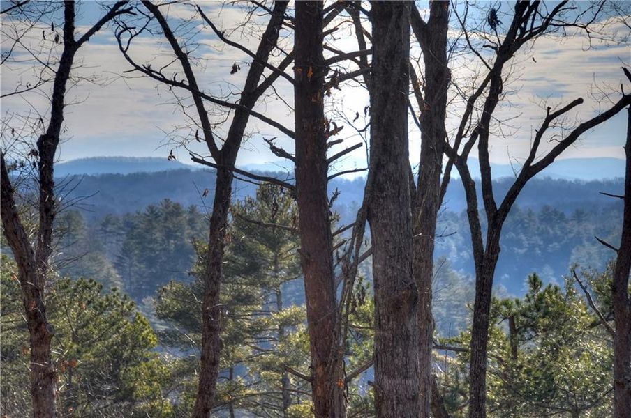 Natural landscape and outdoor views near  in Ellijay (Image 48).