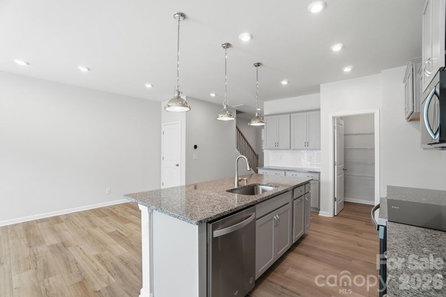 Furnished interior view inside a new home in Arbor Chase, Clover (Image 6).