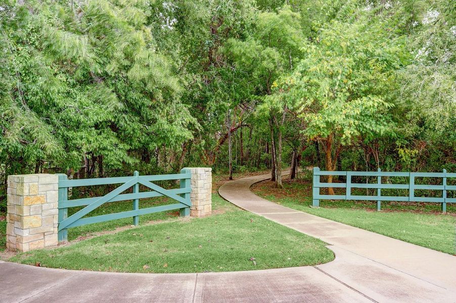 Mature trees define the community. Mature trees define the community.