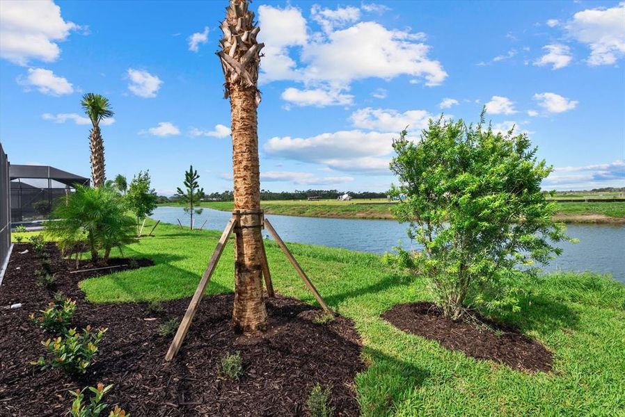 Natural landscape and outdoor views near Calusa Country Club in Lakewood Ranch (Image 33).