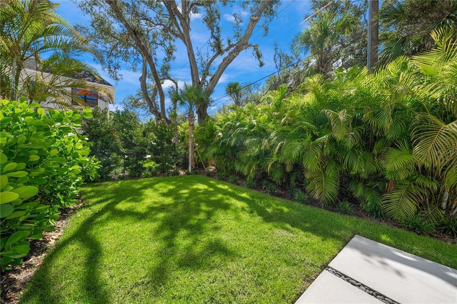 Natural landscape and outdoor views near  in Sarasota (Image 39).