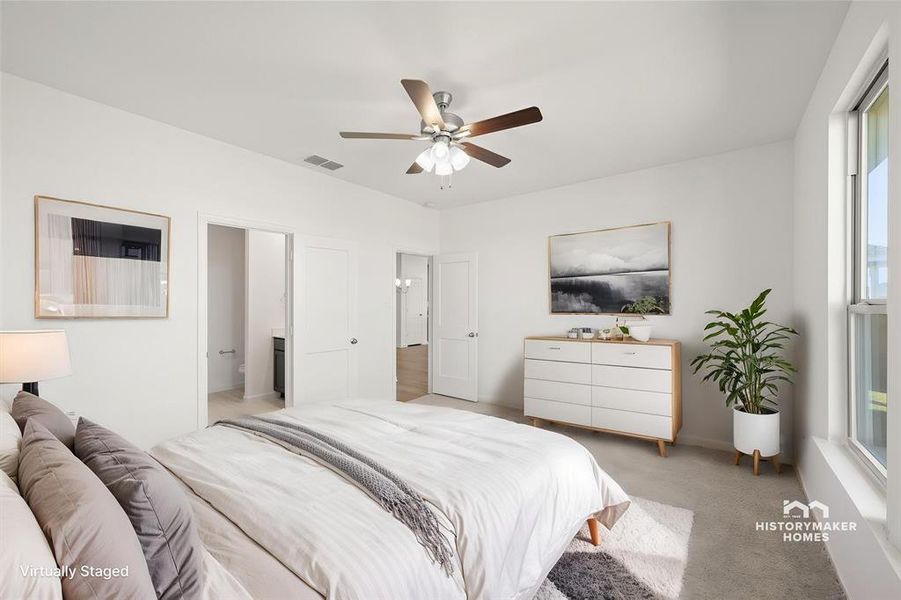 Chestnut_2 Chestnut_2