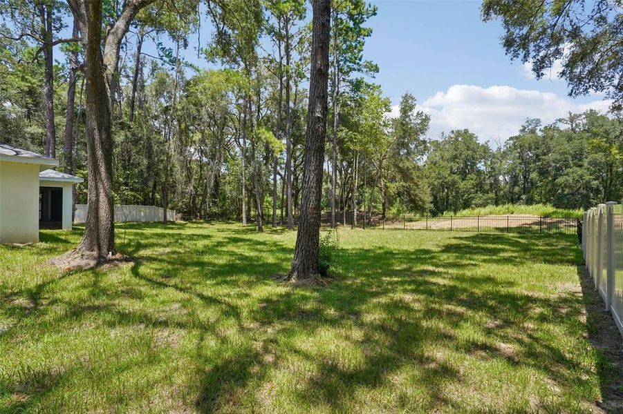 Natural landscape and outdoor views near in Citrus Springs (Image 53). Natural landscape and outdoor views near in Citrus Springs (Image 53).
