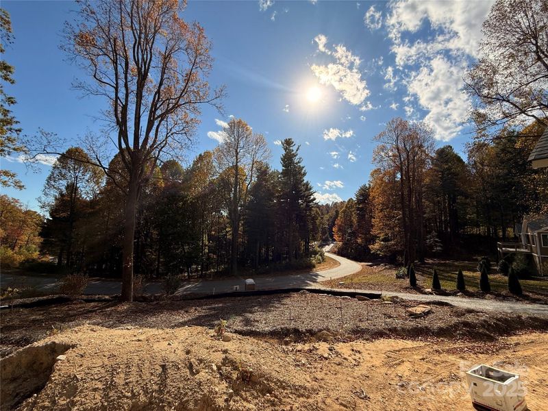 Natural landscape and outdoor views near  in Flat Rock (Image 14).