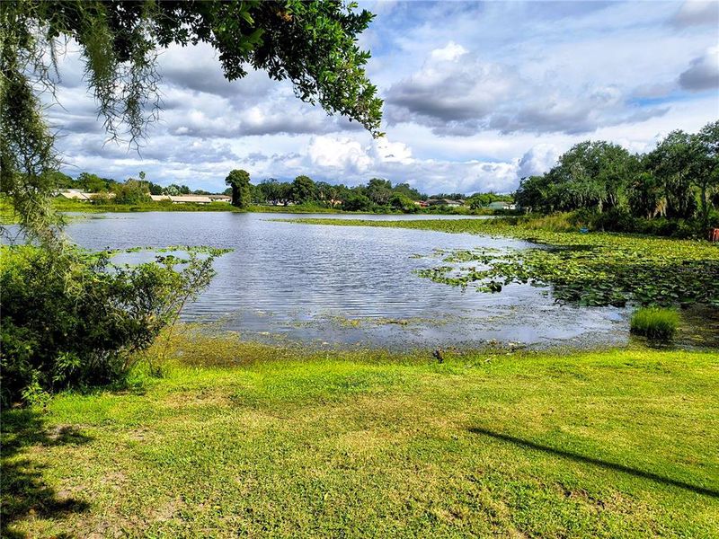 Natural landscape and outdoor views near  in Auburndale (Image 20).