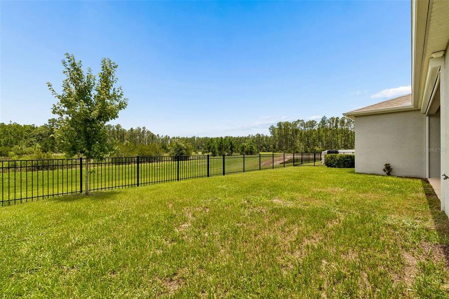 Exterior details and patio area of a home in Deerbrook, Land O' Lakes (Image 3).