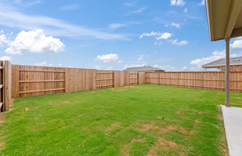 Backyard Backyard