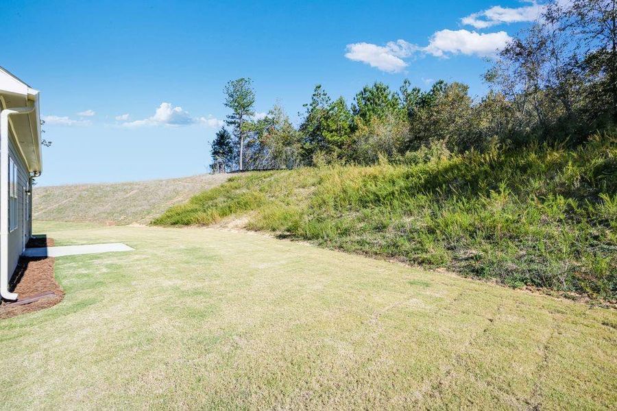 Natural landscape and outdoor views near Heritage River in Euharlee (Image 32).
