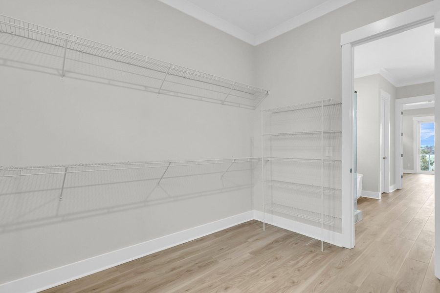 Spacious, unfurnished interior of a new home in , Mount Pleasant (Image 40).