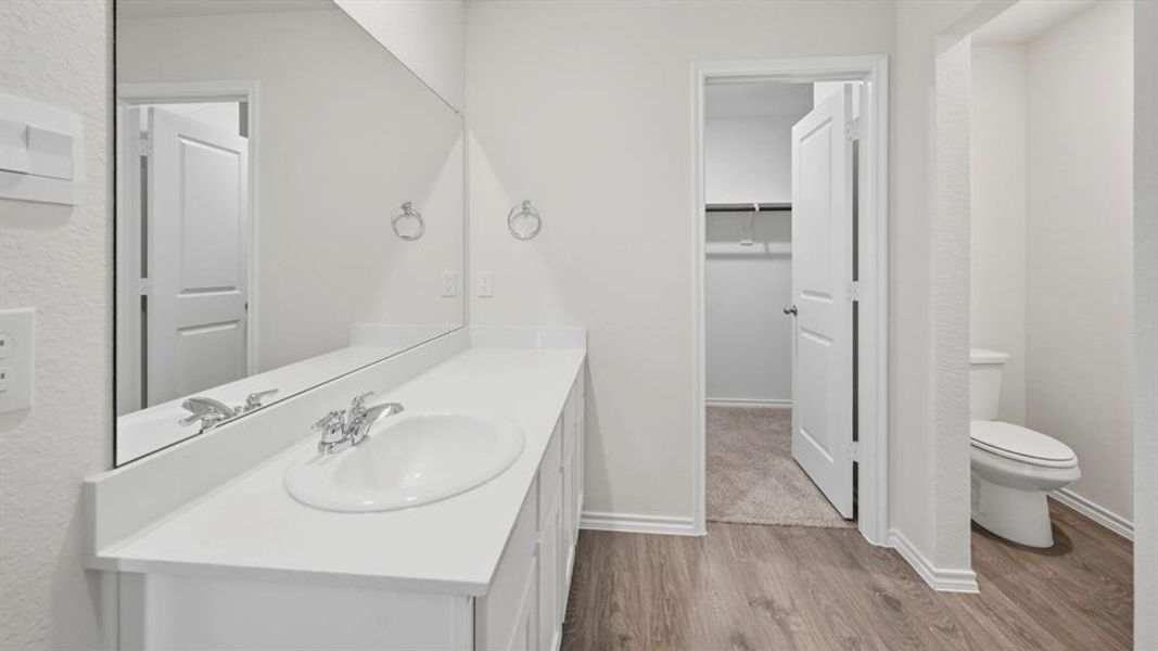Bathroom featuring vanity, dark wood-type flooring, a spacious closet, and a textured wall