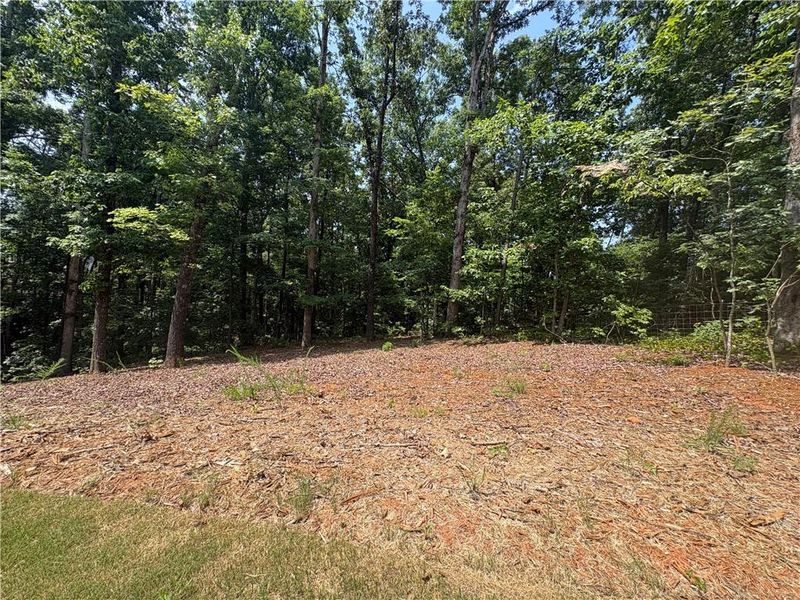 Natural landscape and outdoor views near in Ball Ground (Image 36). Natural landscape and outdoor views near in Ball Ground (Image 36).