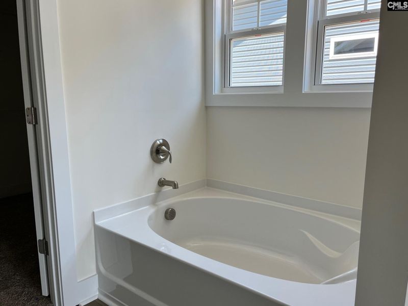 Image 32 of a home in Blythewood Farms. Image 32 of a home in Blythewood Farms.