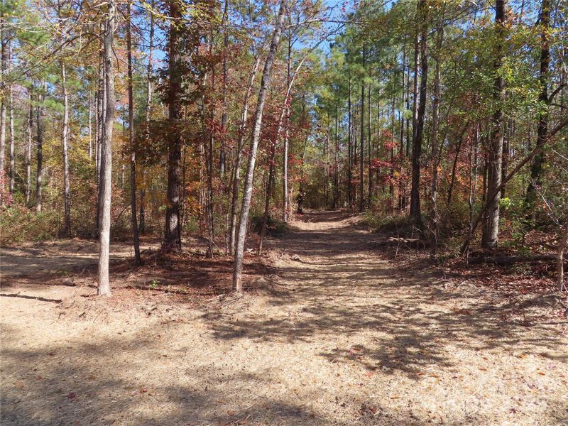 Natural landscape and outdoor views near  in Rock Hill (Image 32).