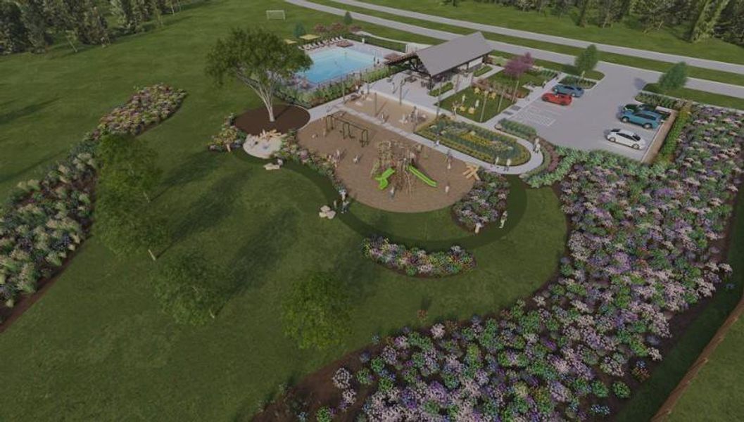 Redbud - Community Photos