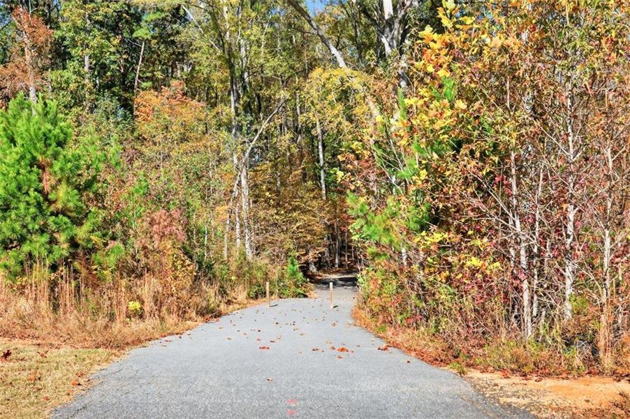 Natural landscape and outdoor views near  in Jefferson (Image 77).