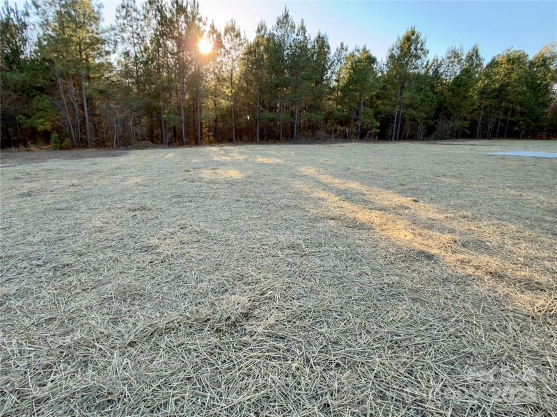 Natural landscape and outdoor views near in Kershaw (Image 27). Natural landscape and outdoor views near in Kershaw (Image 27).