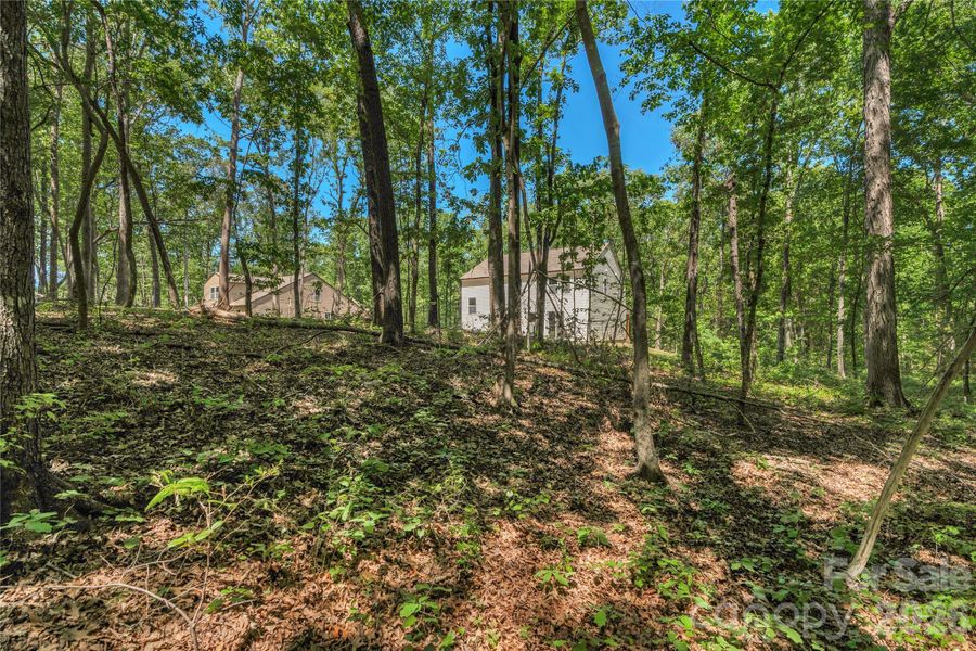 Natural landscape and outdoor views near  in Monroe (Image 35).