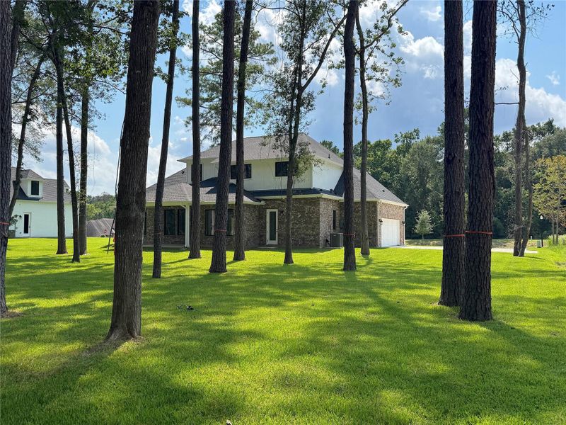 Most of backyard has sod Most of backyard has sod