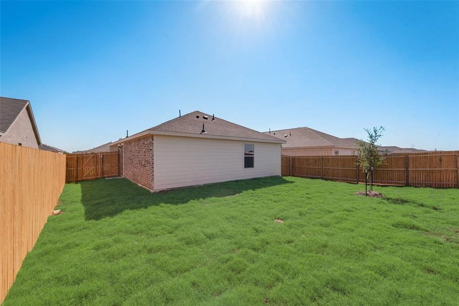 Rear view of house with a lawn