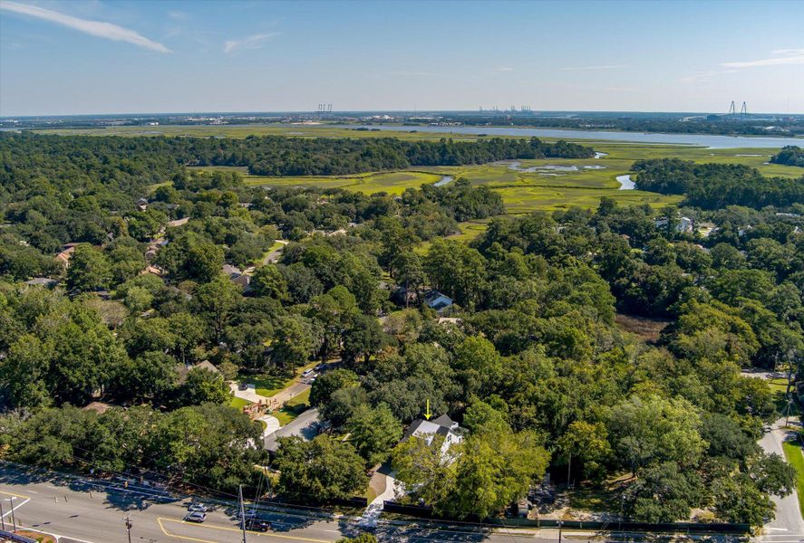 Natural landscape and outdoor views near  in Charleston (Image 52).