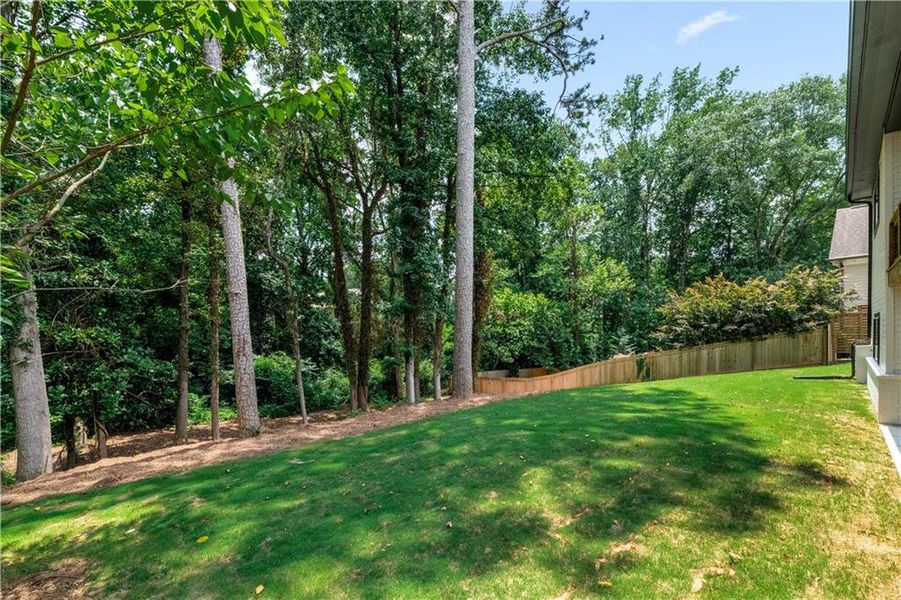 Natural landscape and outdoor views near  in Smyrna (Image 67).