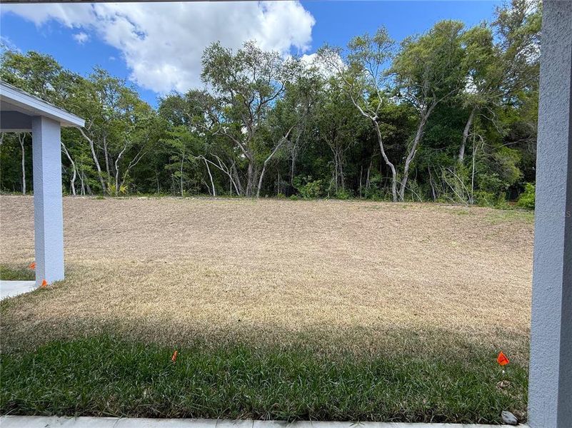 Exterior details and patio area of a home in , Hernando (Image 39).