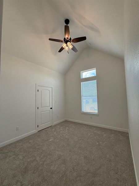 Vaulted Ceilings