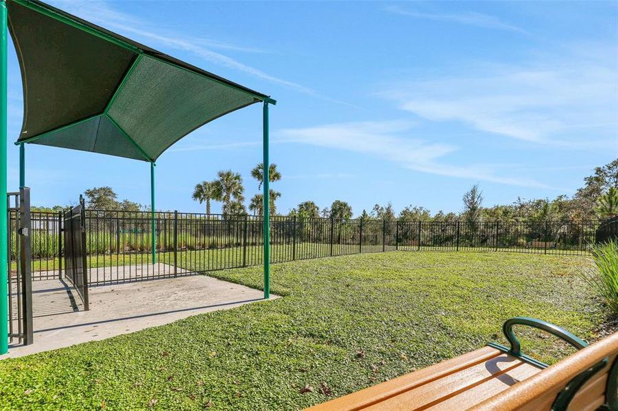 Community amenities in Serenade at Ovation, Winter Garden (Image 34).