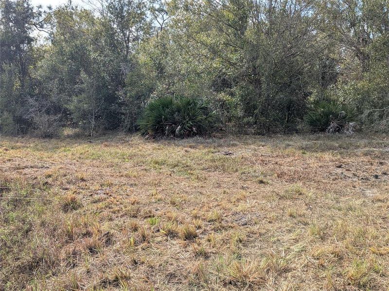 Natural landscape and outdoor views near  in Arcadia (Image 47).