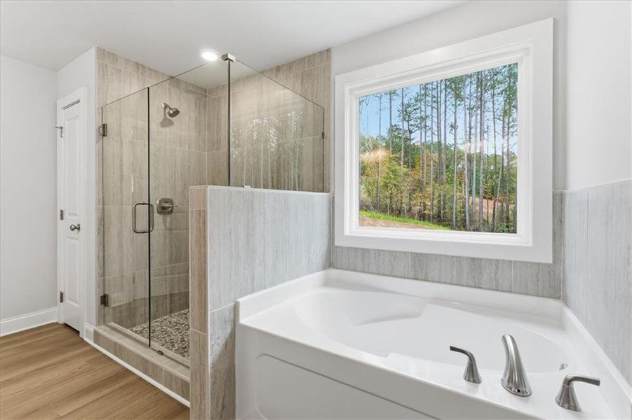 Furnished interior view inside a new home in , Dallas (Image 5). Furnished interior view inside a new home in , Dallas (Image 5).