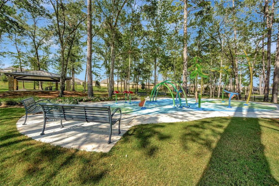 Community amenities in Pine Lake Cove - Traditional Series, Montgomery (Image 29). Community amenities in Pine Lake Cove - Traditional Series, Montgomery (Image 29).