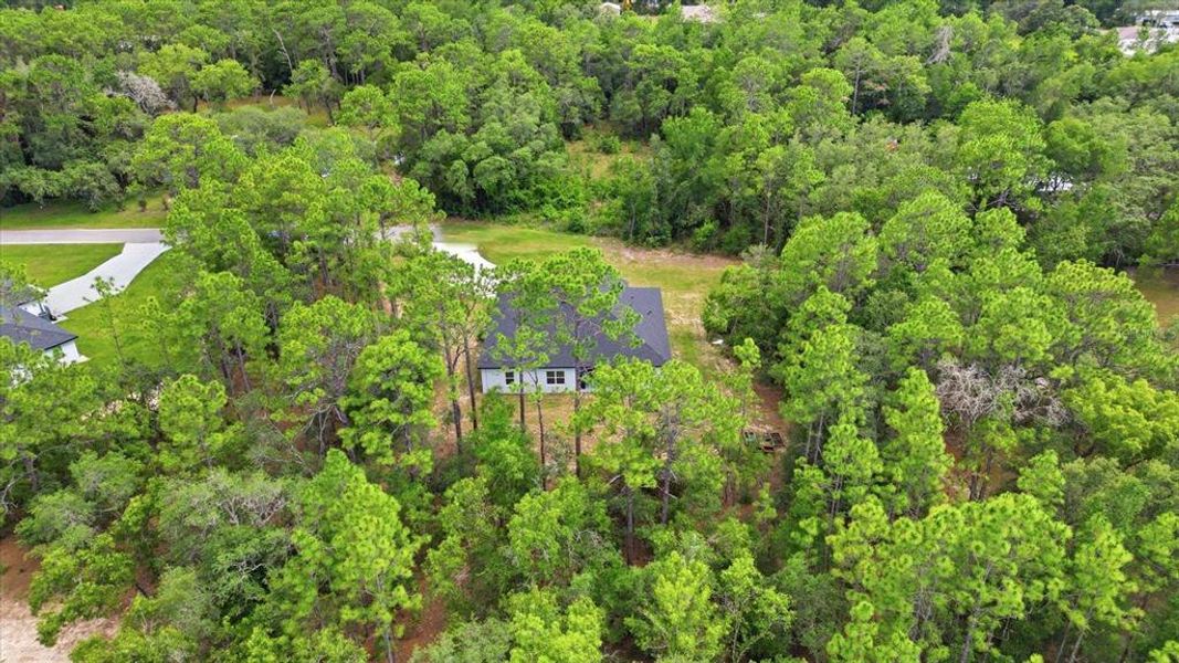 Natural landscape and outdoor views near in Hernando (Image 47). Natural landscape and outdoor views near in Hernando (Image 47).