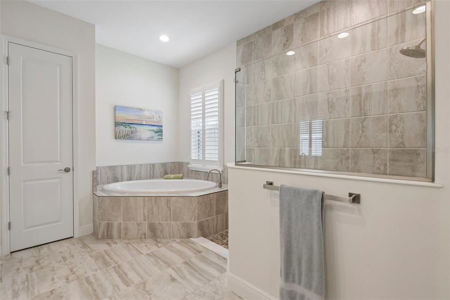 Furnished interior view inside a new home in Hawkstone, Lithia (Image 38).