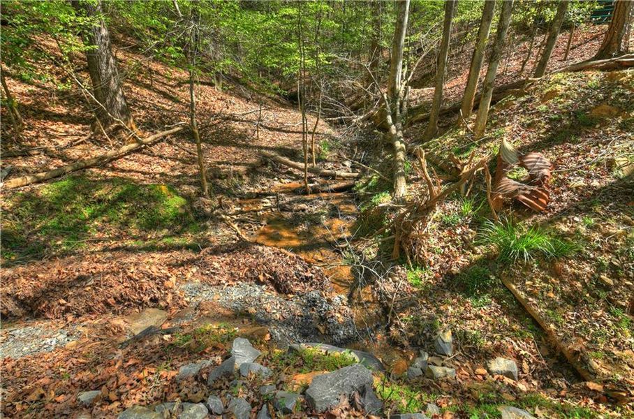 Natural landscape and outdoor views near  in Ellijay (Image 47).