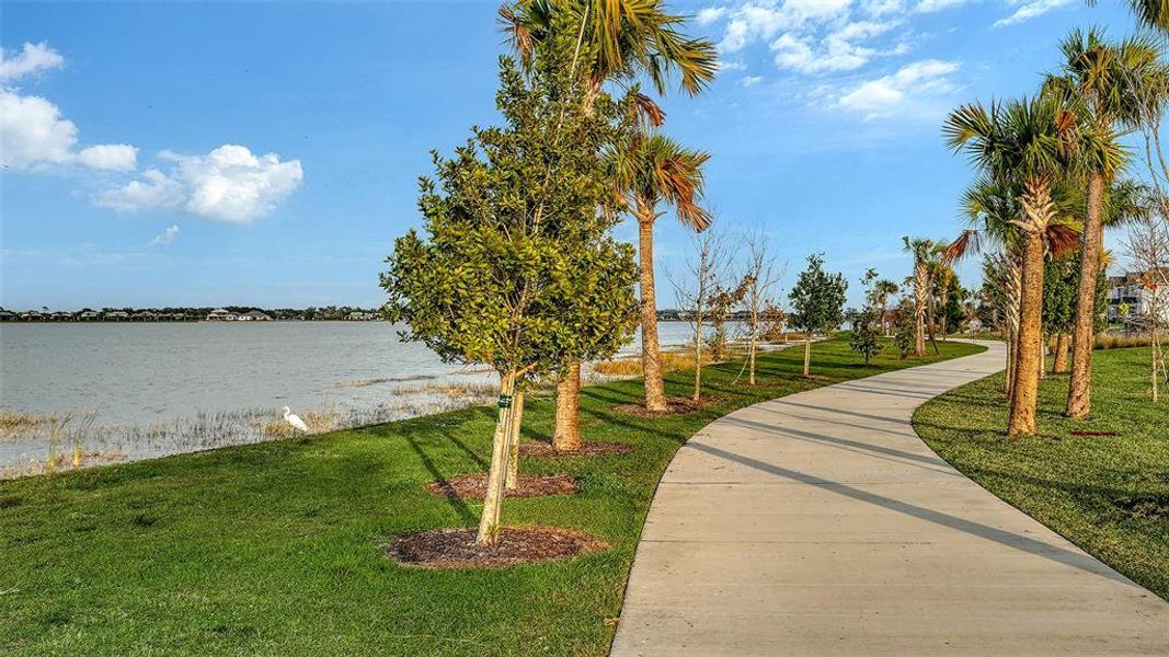 Natural landscape and outdoor views near  in Lakewood Ranch (Image 40).