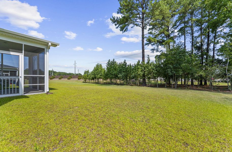 Exterior details and patio area of a home in The Groves of Berkeley, Moncks Corner (Image 4).