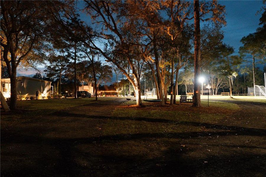 Natural landscape and outdoor views near  in Bronson (Image 45).