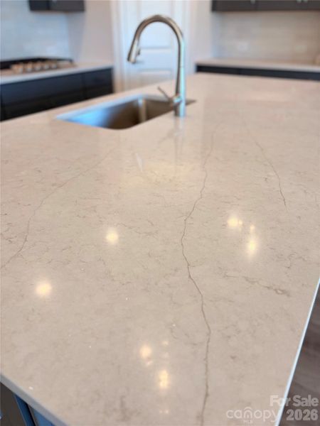 Close-up of interior finishes inside a home in Encore at Harmony, Harrisburg (Image 18).