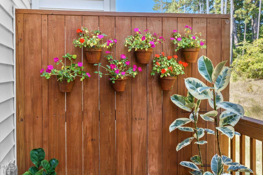 4109 Trevino 25 DeLynda Cook