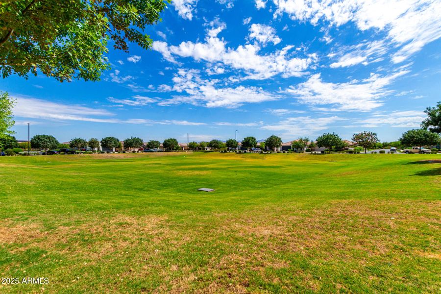 22-Labelle 22-Labelle