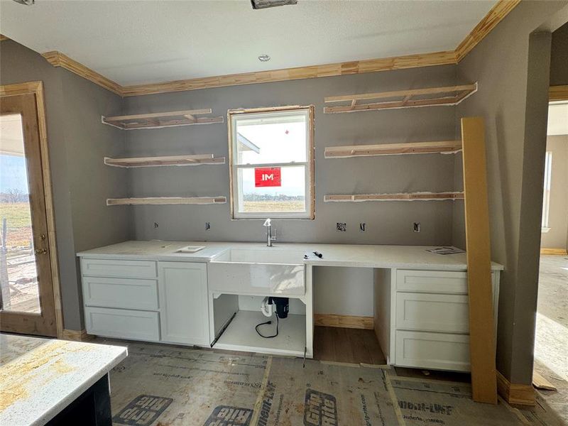 Washroom with wood-type flooring, plenty of natural light, crown molding, and sink