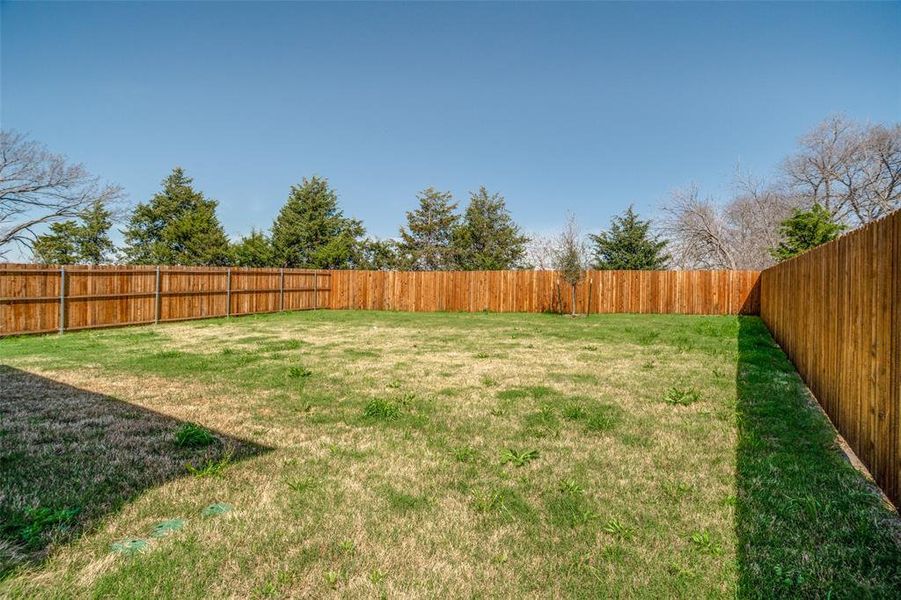 View of fenced backyard