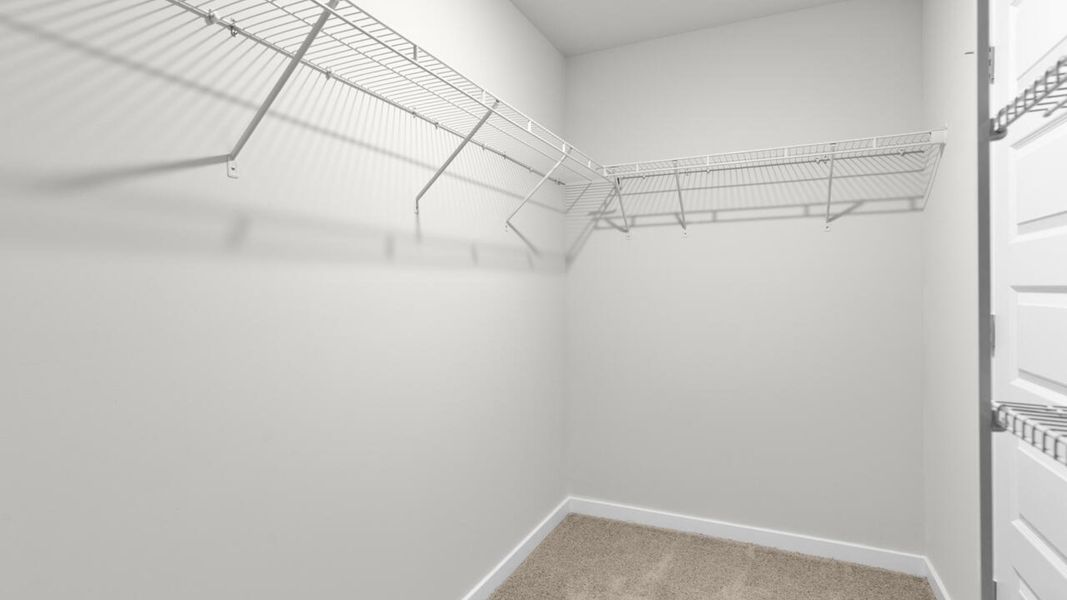 Spacious, unfurnished interior of a new home in Sidbury Station, Castle Hayne (Image 25).
