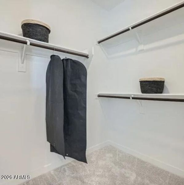 Owners Walk in Closet